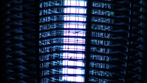 Bug Zapper at Night Electrocuting Insects Close Up