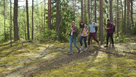 Group of four cheerful hikers with backpacks having fun while walking along trail through pine forest, side view tracking left shot