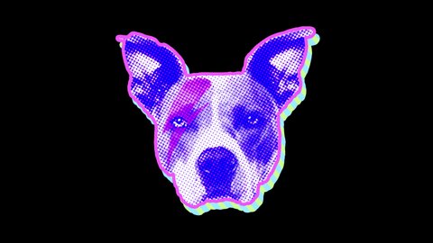 Seamless young animation of cartoon style punk dog with duotono colors and halftone effect. Stop motion photo montage animation fashion design art collage isolated with alpha channel.