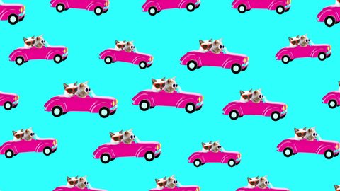 Minimal motion design. Pattern Cat on the car. Funny mood