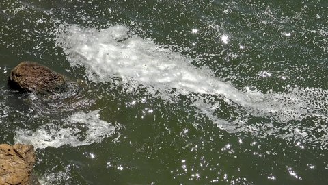 Pollution of the Black Sea. Foam on the water, eutrophication.