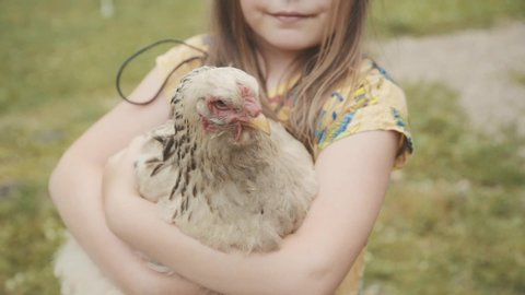 A little girl on holidays in the village holds in her arms and gently hugs a chicken. Love animals. Pure friendship concept. Talking something. Animal protection. Vegetarian wibe. Purebred chicken