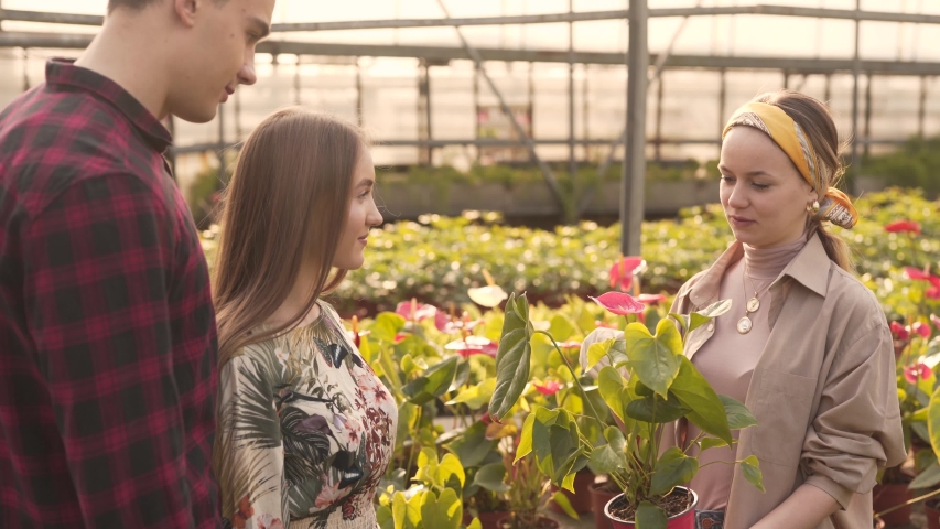 Greenhouse worker giving garden flower pots to couple of man and woman. They touching flowerpots and are very happy