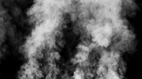 Ink Smoke Transition Transition の動画素材 ロイヤリティフリー Shutterstock