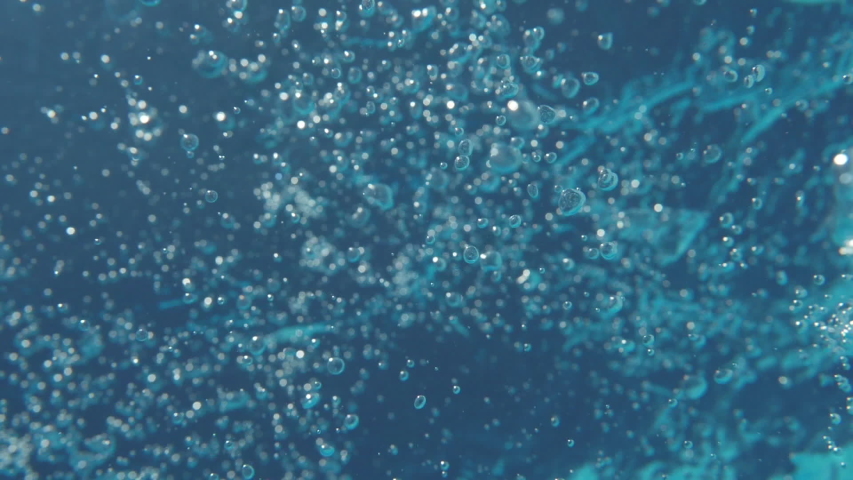 Bubbles rising to the surface. Slow motion. Air bubbles in clear blue water (underwater shot), good for backgrounds | Shutterstock HD Video #1031429534