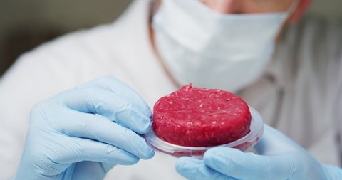Slow motion of an young scientist is inspecting and analyzing the cultured artificial meat sample in laboratory.