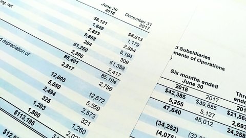Finance statement report pf balance sheet of company. Analyzing money balance. Expenditure and revenue, profit statistics