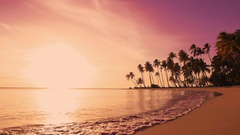 The sun over sea. Amazing red sunrise on beach palms island. Orange colors sunrise and waves. Nature sun sunrise palms beach background. Yellow sky, beautiful palm trees on the beach isle. Sunshine