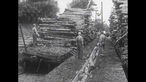 CIRCA 1940s - Excellent montage of a lumber mill in action in 1944.