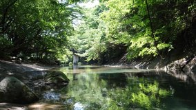 Clear flowing river in a forest in Tochigi Prefecture, Japan. Panning to the right.