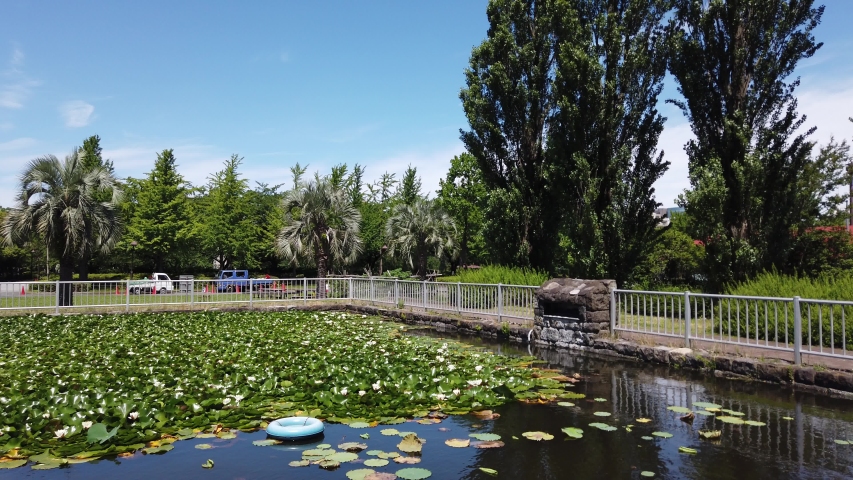 Sarue Onshi Park in Japan Tokyo