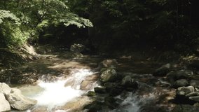 Aerial view of a clean and refreshing river in a forest, Tochigi Prefecture, Japan. Moving backward motion.