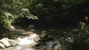 Aerial view of a clean and refreshing river in a forest, Tochigi Prefecture, Japan. Tilt up footage.
