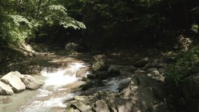 Aerial view of a clean and refreshing river in a forest, Tochigi Prefecture, Japan. Tilt down footage.
