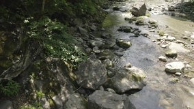 Aerial view of a clean and refreshing river in a forest, Tochigi Prefecture, Japan. Forward motion footage.
