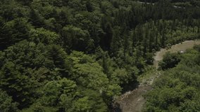 Aerial view of a clean and refreshing river in a forest, Tochigi Prefecture, Japan. 