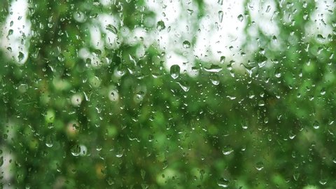 Rain drops running down on of a window glass.