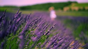 Slow motion video of girl tourist running  near lavender rows in french garden during summer season, close up view of  blooming lavender with purple color swell with the wind on flowers field 