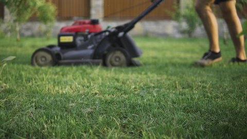 Green grass in the garden and man with lawn mower approaching in the background