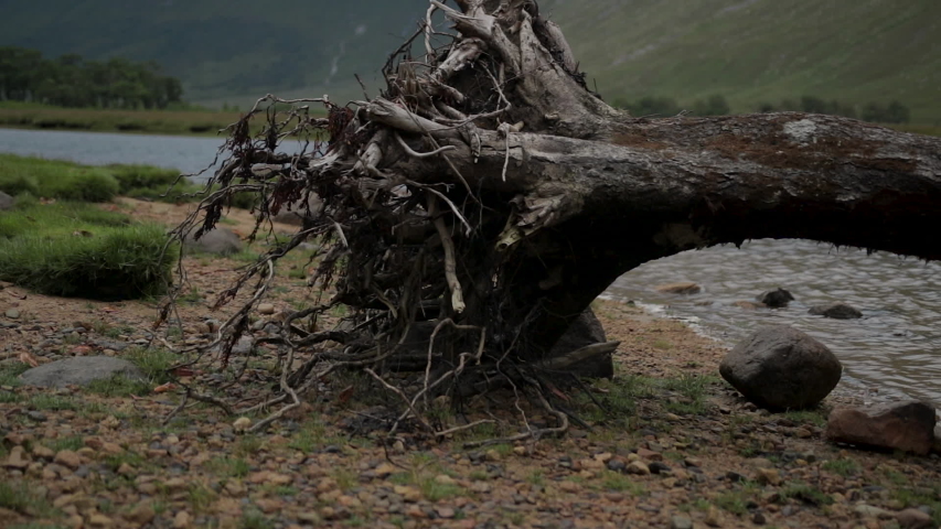 Slow right pan and zoom out from washed up tree on a highland loch.
