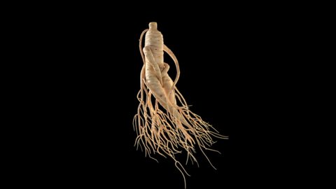 Ginseng growth for editor and composite with matte