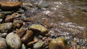 River bank in Siberia with stones. Summer travel videos.