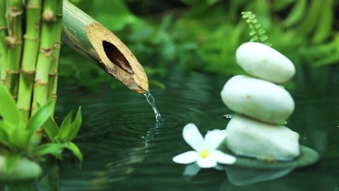 Stock video

At a spa , dropping a pure water drop from a bamboo. relaxation, wellness, body care, spa, nature, and aromatherapy and scent