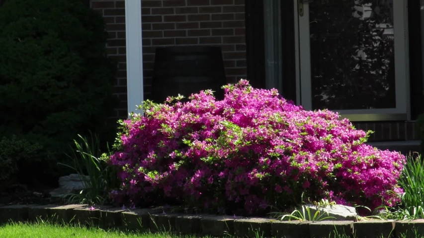Spring in Buffalo New York