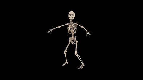 Funny Skeletons Hip Hop Street dancing - Skate Roll. Transparent video with alpha channel. PNG + MOV 