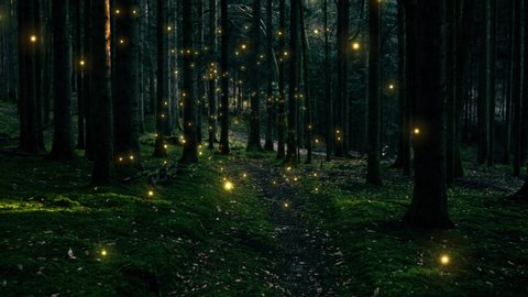 Beautiful gold colored shiny fireflies flying in dark foggy forest landscape.