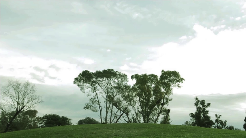 Wide Shot of Green Trees on Hill Against Overcast Sky