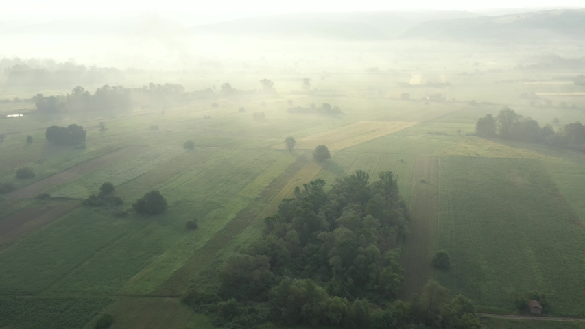 Fog over the valley and trees 4K aerial video