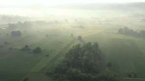 Fog over the valley and trees 4K aerial video