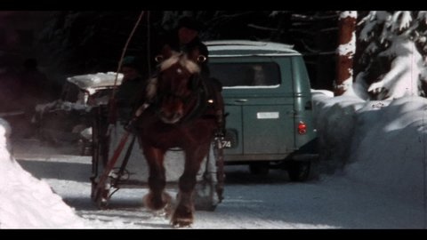 1960s, French Alps, France - Horse pulling a sled