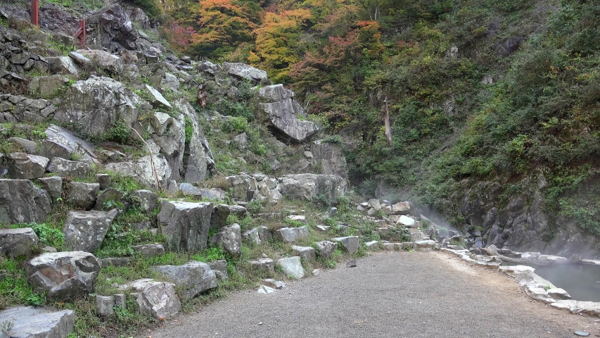 Japanese Macaque descends from the cliffs to the hot springs in the Jigokudani Monkey Park.  Yamanouchi, Nagano, Japan