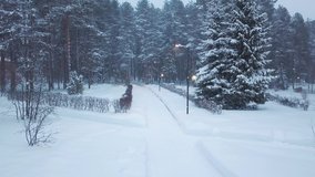 Street lamp lighting the road to winter park, covered with snow. Clip. Beautiful view of trees, path and small house between the pines in snow