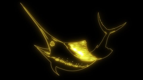 marlin pelagic fish video laser animation