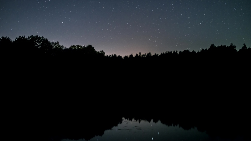 Mooving stars above wild forest 