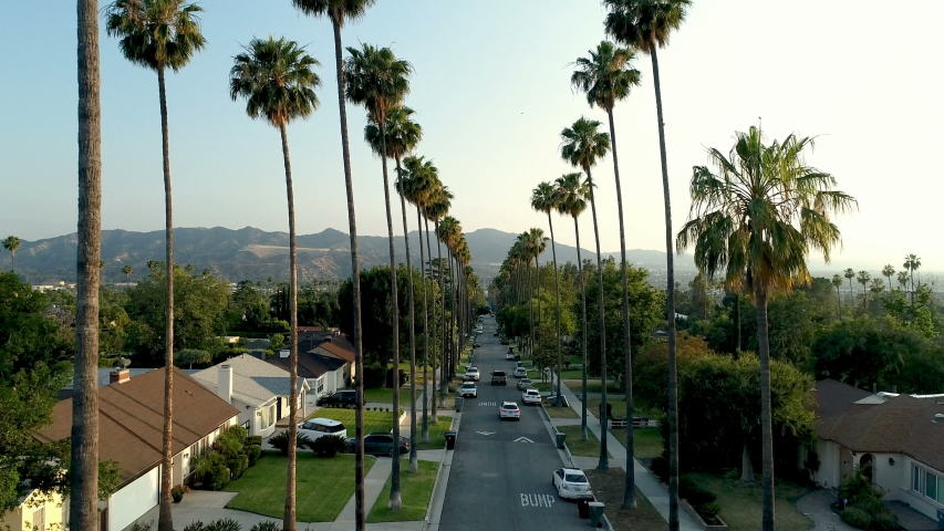 Aerial drone of palm tree lined street in Glendale neighborhood in Los Angeles, CA 4K UHD
