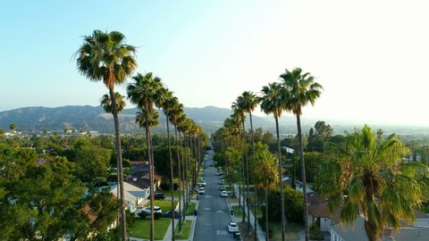 Amazing drone pedestal up sunset view of Glendale, Los Angeles tall palm tree street