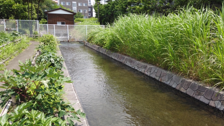 Furuishibagawa Shinsui Park in Tokyo