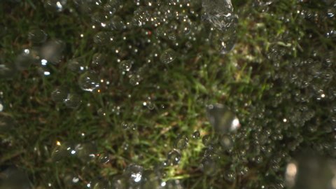 Water Drops Falling on the Green Grass on the Lawn Top View Shot on High-Speed camera Super Slo Mo