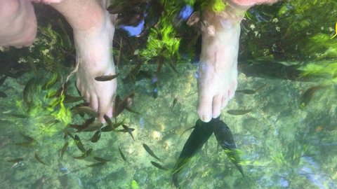 A person taking a foot spa.The fish nibble at the feet which does not hurt, more of a tickling sensation.