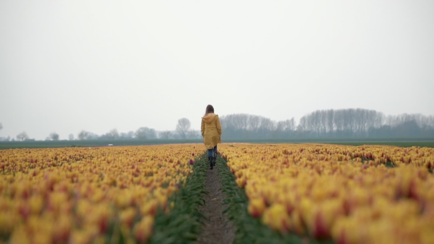 Young teenage girl walking through yellow tulip field in a yellow rain coat