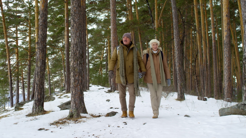 Full shot of senior Caucasian couple, wearing warm clothes, strolling along steep snowy cliff over frozen lake, husband talking expressively, holding wife’s elbow, while she is listening and smiling