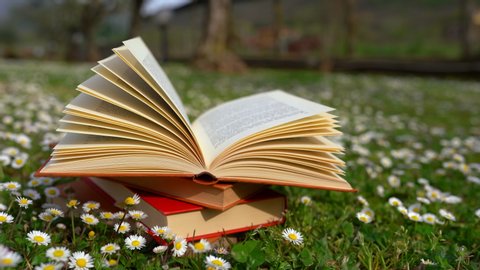 Open Book Outdoor Knowledge Power Book Stock Photo 425265874 | Shutterstock