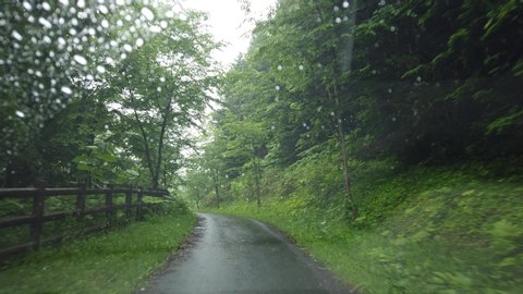 Drive through the woods while it rains in Hokkaido, Japan