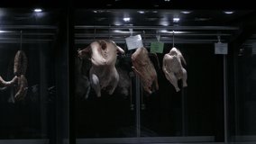 Ungraded: Carcasses of chicken, duck and turkey hanging on hooks in the butcher shop with a sinister light. Ungraded H.264 from camera without re-encoding.