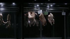 Ungraded: Carcasses of chicken, duck and turkey hanging on hooks in the butcher shop with a sinister light. Ungraded H.264 from camera without re-encoding. - Powered by Shutterstock - Get 15% off with code: PIKWIZARD15
