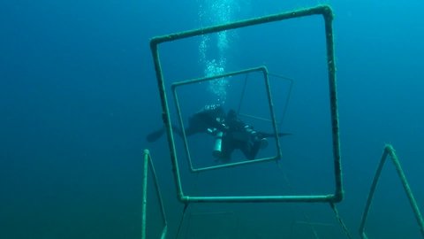 Diver swims through a buoyancy course